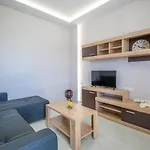 Zakynthos Town Modern Roof Apartment